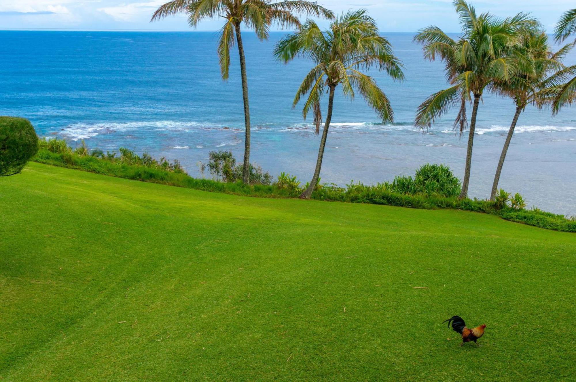 Sealodge J9 Princeville Bagian luar foto